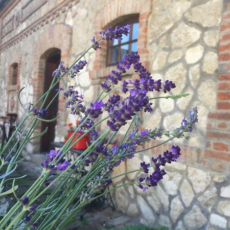 Hotel Levendula Porta Es Pajtaszinhaz Orfű Exterior foto